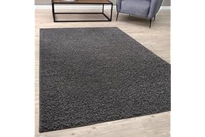 BORING PANDA Living Room Rug - Cosy, Soft and Easy-to-Clean Area Rugs for Bedrooms and Kitchens, (D.Grey, 60 x 110 cm)