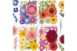 YoothBro 122 sztuki prawdziwych suszonych kwiatów do form z żywicy, zestaw kwiatów z naklejkami motylkowymi do produkcji biżuterii DIY, kartki na paznokcie Love Parade