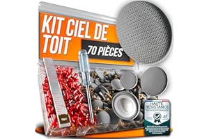ASSURE AURA 70 Pièces Kit Réparation Ciel de Toit Voiture Gris – Punaises Plafond Auto + Agrafes Rouges + Tournevis + Ruban – Fixation Universelle Garniture Intérieure Affaissée ou Décollée