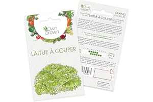 Graines de laitue à couper (Verde ricciolina), graines de laitue à couper à cultiver OwnGrown, graines pour environ 1000 plants de la variété Verde a foglia riccia