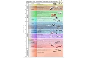 Tiger Moon The Tiger Moon Trading Company Ltd Geological Periods Information Poster - Classroom Decoration, Display, Teaching Aid - Paper Laminated - A1 Size 59.4 x 84.1 cm