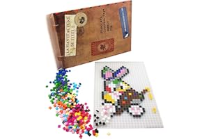 La Manufacture du Pixel - Pack 1 Grille et 900 pixels à insérer (Translucide) - Pixel Art, Loisir Créatif, Mosaïque, Fun ! - Créez à l'infini tout l'art qui vous ressemble