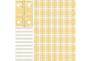 QIMEI-SHOP Mini Cerniere Piccole Cerniere in Metallo con 240 Viti per l'armadietto dei Giocattoli della Scatola di Artigianato 24 x 16mm 50 Pezzi Oro