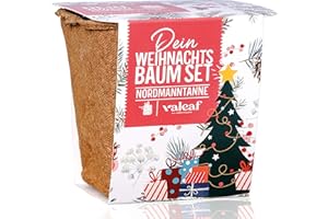 VALEAF Kit de culture de sapin de Noël - Superbe idée cadeau pour les cadeaux de Noël, les cadeaux de Noël et les cadeaux de jardin - Arbre de Noël de la boîte - Kit de plantes avec accessoires