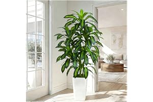 TXABL Artificial Dracaena Plant 180cm Tall Fake Tree Artificial Plants Indoor with White Tall Planter, 6FT Floor Plant Faux Yucca Tree in Pot for Outdoor Home Office Living Room Bedroom Farmhouse