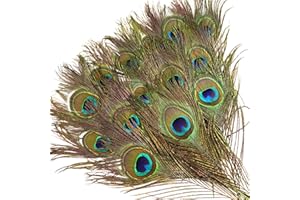 wangruida Lot de 12 Plumes Naturelles œil de Paon 25-30 cm pour Loisirs créatifs, Mariage, Vacances, décoration de Noël