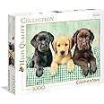 Clementoni - 39279 - Collection - Three Labs - 1000 Pieces