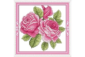 Cross Stitch Kits Stamped, OWN4B The Flower of Happiness Printed Pattern 11CT 8.3x8.3 inch DIY Embroidery Kit (Roses)