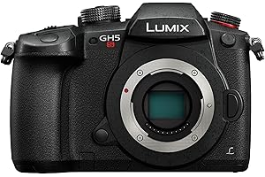Panasonic Lumix DC-GH5SEG-K Systemkamera (10 MP, prof. Videofunktionen, wetterfestes Magnesiumgehäuse, schwarz)