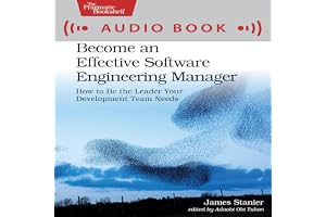 Become an Effective Software Engineering Manager: How to Be the Leader Your Development Team Needs