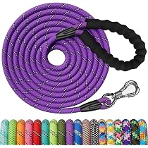 Correa Larga De Entrenamiento Para Perros XBEN De 10 Metros – Reflectante, Antimordeduras, Con Mosquetón Bloqueable Y Mango Acolchado, Ideal Para Perros Grandes Y Pequeños