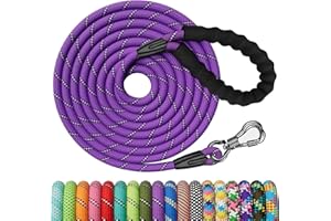 X XBEN Longe pour Chien 5M, Laisse de Dressage pour Chien, Laisse pour Chien avec Poignée Confort et Mousqueton Verrouillable, Longe Chien Robuste pour Petits, Moyens et Grands Chiens, Violet