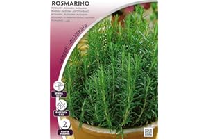 PREMIER SEEDS DIRECT Hortus 61ARO0225 Aromavivo Rosmarino, 13x0.2x20 cm