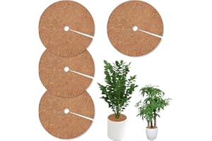 GAROMIA Lot de 4 disques de paillage en coco de 30 cm - En fibre de coco - Protection hivernale - Pour plantes en pot - Protection contre le gel et le froid
