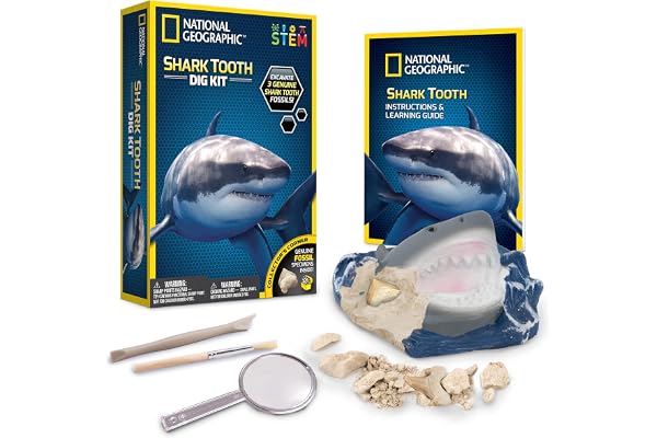 Bandai - National Geographic - 3 fossiles de Dents de Requins à extraire - Jeu Scientifique et éducatif - STEM, JM00604 - version anglaise