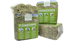 HEULAND® Premium Heu (1 x 4 Kg) Frisches Bergwiesenheu für Kleintiere Kaninchen Kräuter Hamster Streu Meerschweinchen Futter für Nager Chinchilla Zwergkaninchen Hasen Zwerghamster (4 Kilo)
