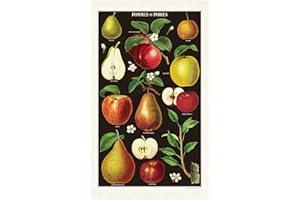 Cavallini Papers & Co. Apples & Pears Tea Towel, Multi