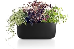 ‎EVA SOLO EVA SOLO | Selbstbewässernder Herb-Organiser Black | Verhilft Kräutern zu einem Langen Leben | Schwarz