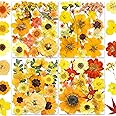 84 Pcs Dried Pressed Leaves Flowers Real Natural Dried Leaves Plant Kit Assorted
