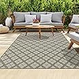homeart Outdoor Rugs | Easy-Cleaning Indoor & Outdoor Area Rugs for Porch, Deck, Balcony, Garden, Picnic, Kitchen, Hallway | UV & Weather-Resistant Large Patio Rug Mats | Beige Cream, 80 x 150 cm