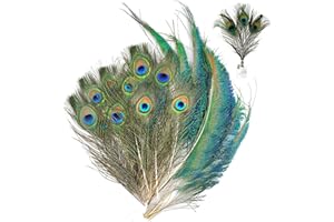 Tuxuzal Lot de 20 plumes de paon naturelles décoratives - Plumes de paon artificielles décoratives - Plumes de paon décoratives - Plumes de paon naturelles - Pour mariage, bricolage, décoration de