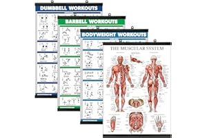 Palace Learning 4 Pack - Dumbbell + Barbell + Bodyweight Workouts - Muscle Building Charts (18” x 24”, Laminated with Plastic Frame)