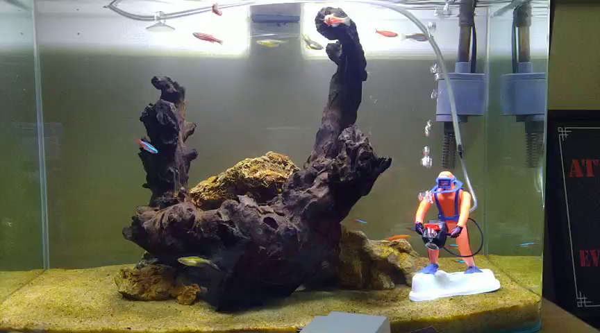 Amazon In Customer Reviews Jainsons Pet Products Scuba Diver