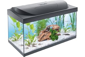 Tetra Starter Line 54 L Aquarium Komplett-Set - inkl. Tag- & Nachtlicht LED-Beleuchtung, Innenfilter, Heizer, Fischfutter und Wasseraufbereiter