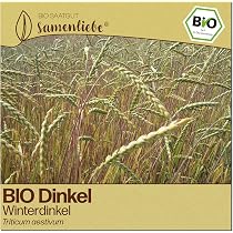 Samenliebe BIO Weizen Samen | Grndnger Winterweizen - winterhart -  samenfestes BIO Saatgut : Amazon.de: Garten