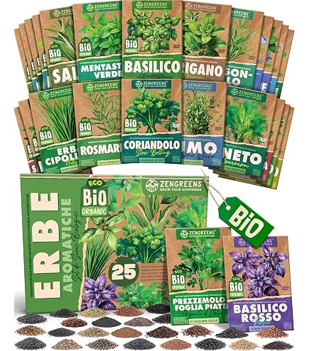 50 Semis De Rue (Ruta Graveolens) Biologiques - Herbe Aromatique D'Ukraine - Graines De Qualité Premium