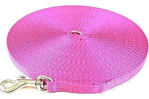 CHURCH PRODUCTS UK Puppy Training Lead Small Dog Recall Obedience Training Leash 10ft (3m) in 13mm Strong Webbing in (Cerise)