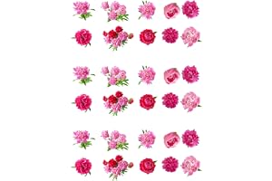 Top That 30 underbara rosa pioner blomma ätbara kakor papper tårtdekorationer