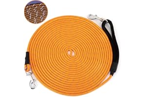 HAPPY HACHI Guinzaglio da Addestramento per Cani, Lunghina Cane, Lungo Nylon Riflettente Leggero, con Fibbia Lega Zinco, per Allontanare Sicurezza Passeggio (Arancione, 10m)
