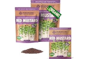 ZenGreens® - EKO Röd senap Frön - Välj mellan 10, 200g och 500g - Röd senap Frön med en grobarhet på över 97 procent - Groddar av Röd senap Frön - Microgreens