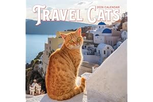 Travel Cats Wall Calendar 2026