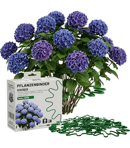 bellissa - Hydrangea Support (Annabelle) - Plant Support Made of Metal  Hot-Dip Galvanised 65 cm - Hydrangea & Plant Support for Large Flowers :  Amazon.de: Garden