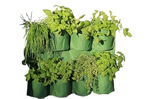TIERRA GARDEN Haxnicks Herb Wall Garden Planter | Vertical Garden Planter For A Lliving Herb Wall Garden | Indoor Or Outdoor Use | Urban Garden Balcony Terrace | Green, W60cm x H48cm | Planter300101