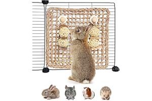 YUNXANIW Guinea Pig Toys, Hamster Toys Syrian, Rabbit Boredom Breaker, Teething Toys for Small Animals to Gnaw and Relieve Boredom, Rat Toys and Accessories for Cage, Seagrass Mat With Chewing Toys