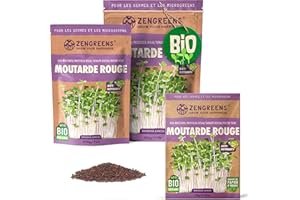 ZenGreens® - Graines de moutarde rouge bio - Choisissez entre 10g, 200g et 500g - Graines de moutarde rouge avec un taux de germination supérieur à 97% - Microgreens