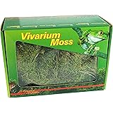 Lucky Reptile VM-150 Vivarium Moos 150 g, Terrarienmoos