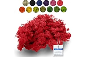 sphagnum-shop.com Islandmoos Rentierflechte konserviertes Moos in Rot 500 g | Echtes buntes Deko Moos für Moosbild Modellbau Basteln