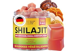 5 elementum Shilajit Gummies Pure Himalaya – 90 Gommes au Goût Pastèque – 2200 mg avec Reishi, Crinière de Lion, Chaga & Cordyceps – Sans Sucre, Vegan, Naturelles – Shilajit Original du Tibet