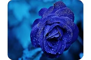 Blue Rose - Glass Worktop Saver/Protector | Kitchen Cutting Board - by Pearl Glass (50 x 40cm)