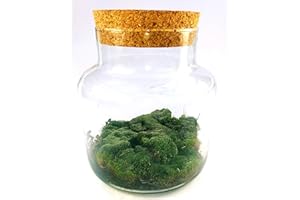 POWERS TO FLOWERS - MUSCHIO A PALLA PER TERRARIUM, MUSCHIO NATURALE E FRESCO, muschio vero