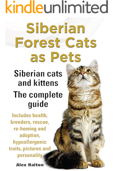 buy siberian cat