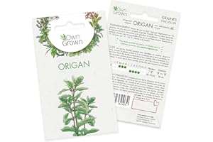 Graines d’origan (Origanum vulgare), semences d’origan cultivé OwnGrown, Semis pour environ 200 plantes