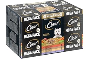 Cesar Megapack Landragout - Hundenassfutter in der Schale - 4 Varietäten im Multipack - 24 x 150g