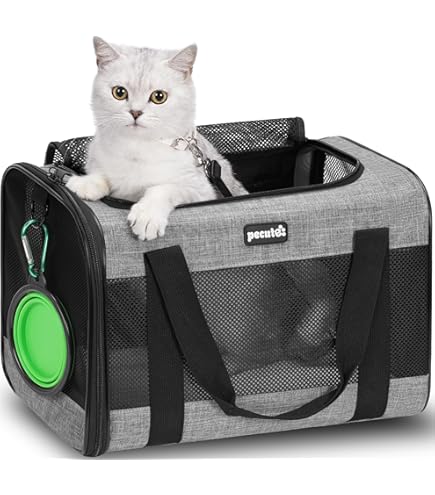 Wild One Travel Carrier - One Size - Tan : Amazon.co.uk: Pet Supplies