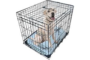 Ellie-Bo Black Deluxe Large 36-inch Folding 2-Door Dog Cage/Crate with Metal Tray and Dog Bed Mat
