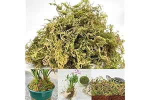 YUNSTK Natural Sphagnum Moss, 5 Quarts Dried Moss for Potted Plants, Indoor Ideal Moist Repotting Sphagnum, Terrarium Decor, Orchid Soil Medium, Reptile Snails Tortoise Snake Substrate Habitat Decoration